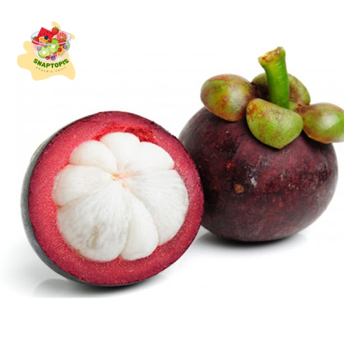 Mangosteen