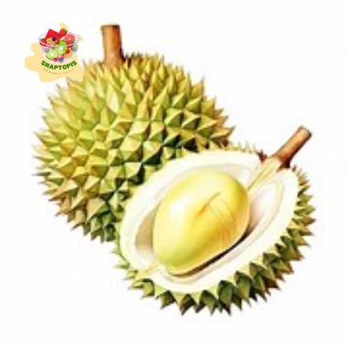 Durian