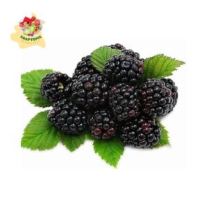 Mulberries