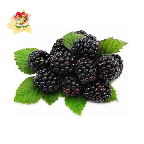 Mulberries