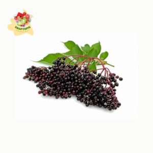 Elderberries